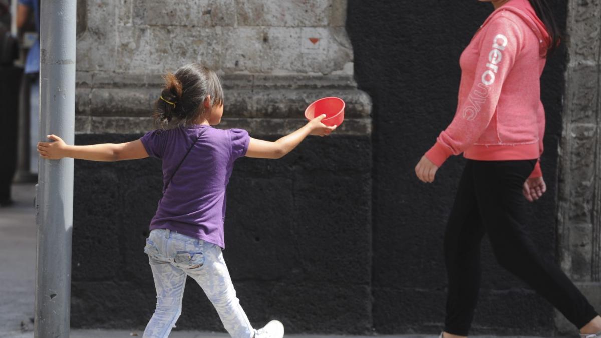 Redim exige a Gobierno federal proteger infancias en trabajo infantil