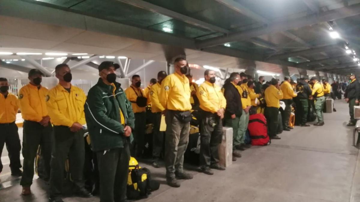 Mexico sends 101 fighters to Canada due to forest fires