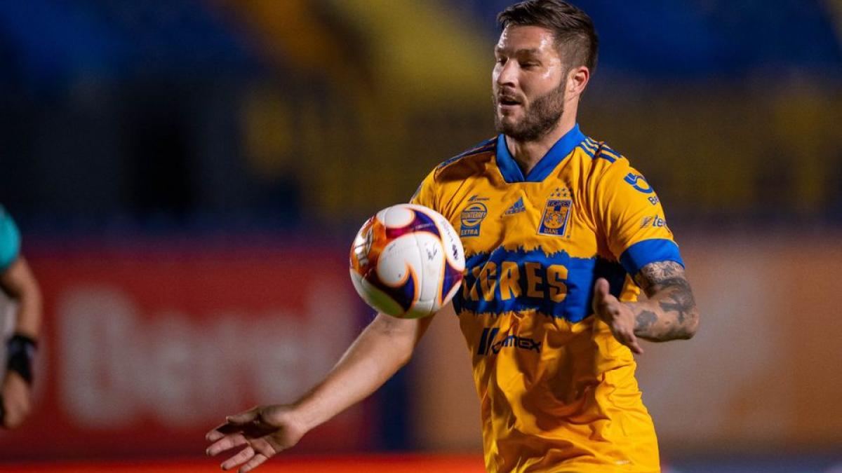 Tigres | VIDEO: Gignac confiesa que rechazó ofertas millonarias por seguir en México