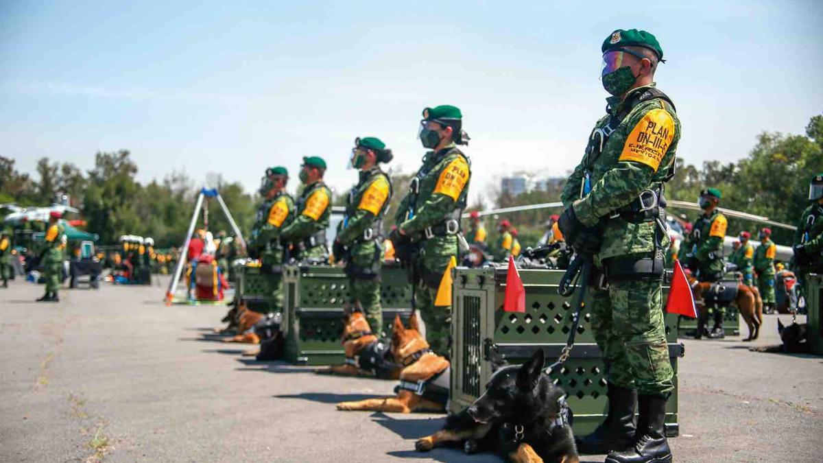 Van 760 canes de Sedena muertos en actual sexenio