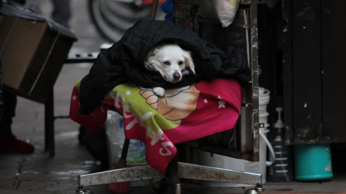 ¡Abrígate bien! Activan alerta amarilla por frío en CDMX