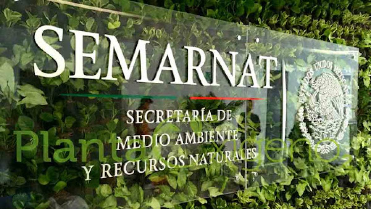 Intimidan a funcionarios de Semarnat y Profepa durante inspección en Chiapas