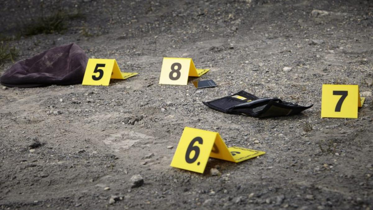 México reporta 71 homicidios dolosos este martes: TResearch