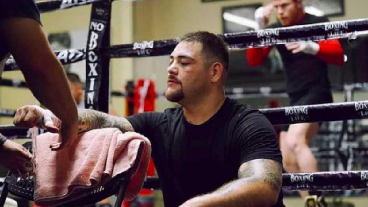 BOX: Andy Ruiz, en "las ruinas" por su separación; su esposa le quitó de todo por una mujer de la farándula