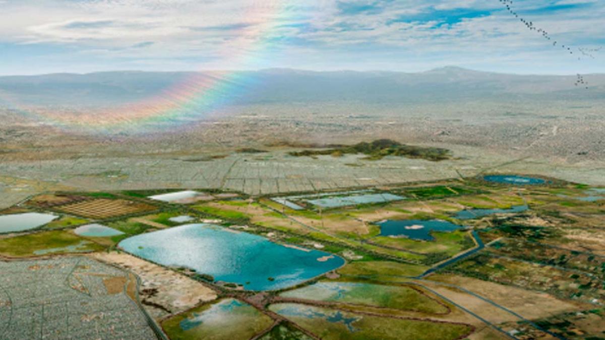 Lago De Texcoco 4 Especies Endémicas Por Preservar 4040