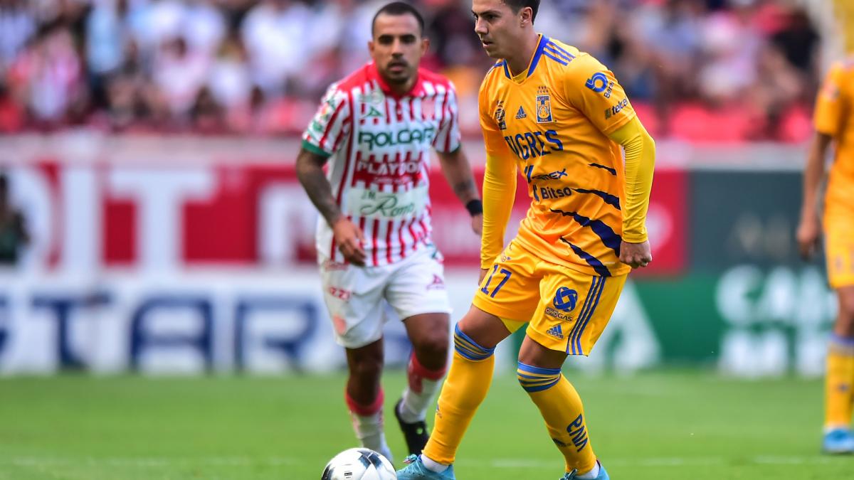 Tigres vs Necaxa: Dónde pasan el partido de la Jornada 11 del Apertura 2022 de la Liga MX