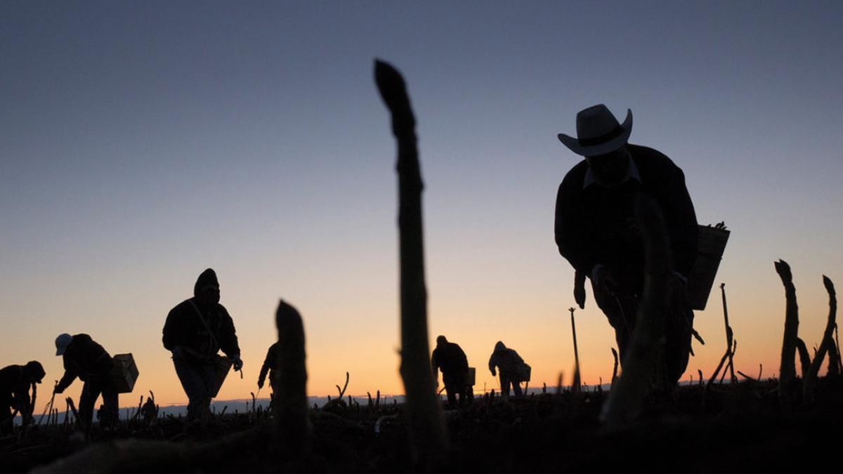 Urgen acciones en contra del tráfico de migrantes: Agenda Migrante