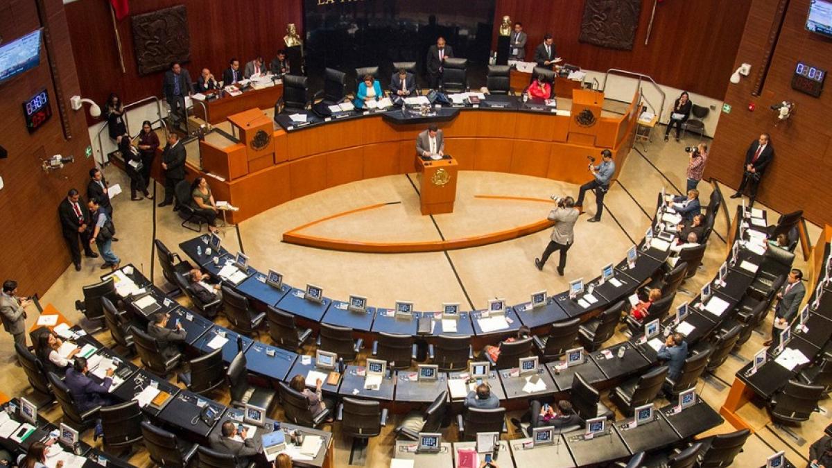 Senadores del PAN aseguran que no promoverán colores partidistas en marcha de defensa del INE