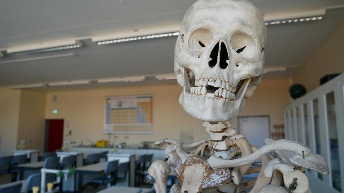 Alumnos hacen un funeral para el esqueleto de su clase de biología