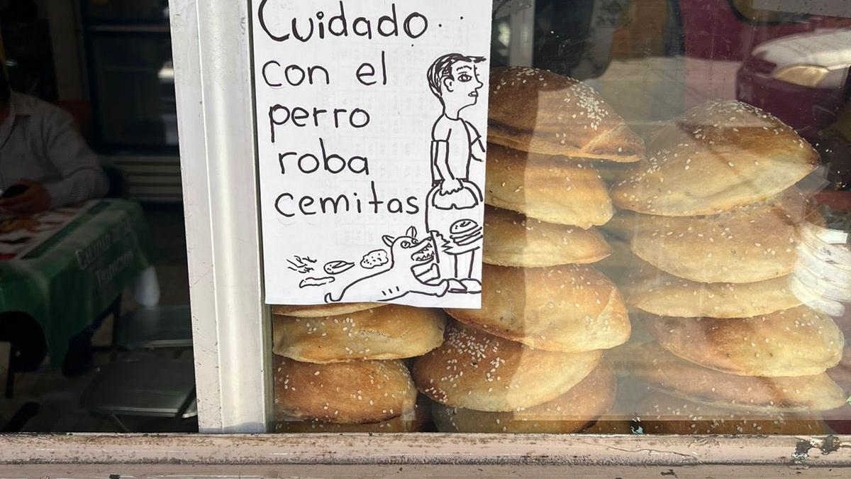 ¡Ojo, lanzan alerta por lomito que roba cemitas!