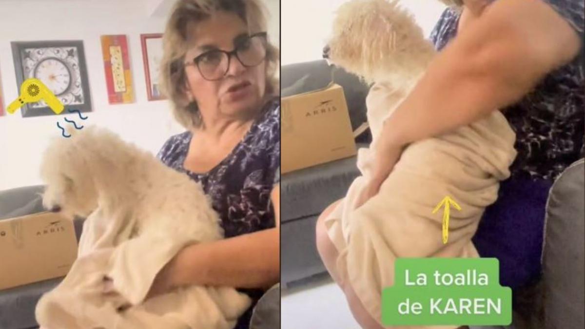 Mujer seca a su perrito con la toalla de su hija: "está más limpio que tú" (VIDEO)