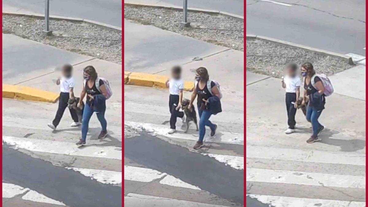 Perrito tenía miedo de cruzar la avenida y madre e hija le ayudan; VIDEO se vuelve viral