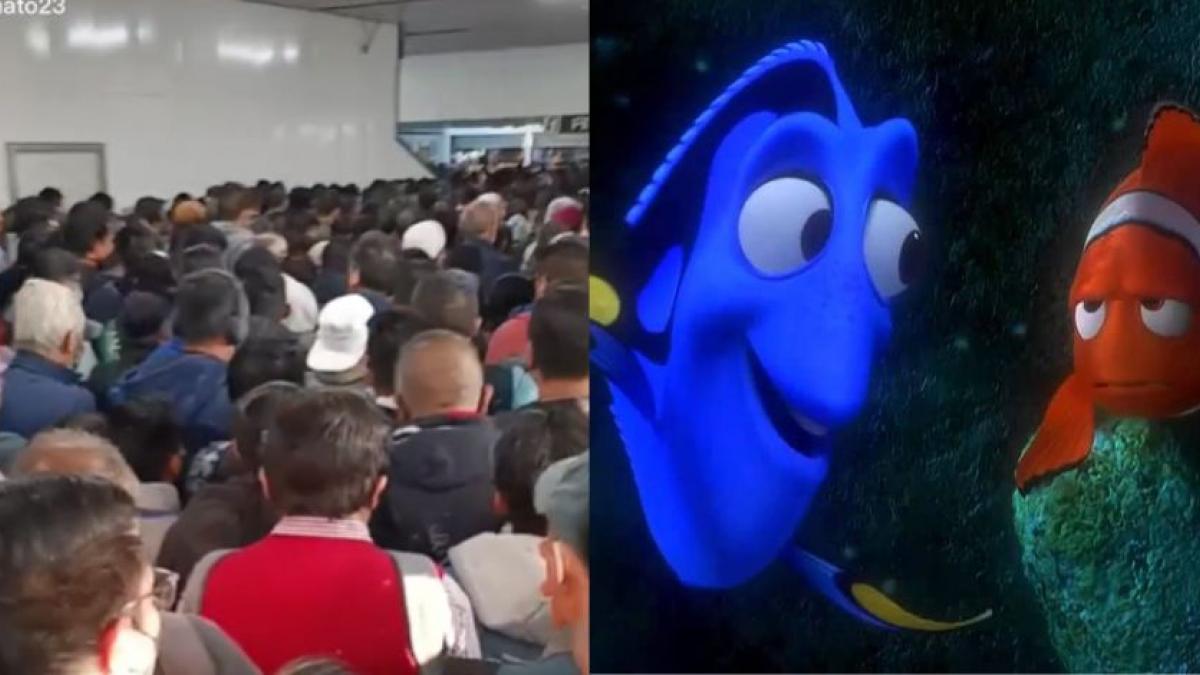 Usuarios del Metro cantan "Nadaremos" de "Buscando a Nemo" tras abarrotar Pantitlán (VIDEO)