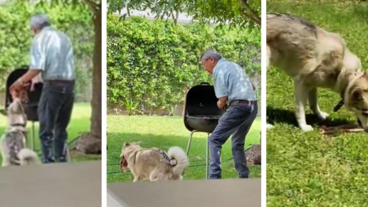 Perrito aprovecha distracción y "roba" pedazo de carne de la parrillada familiar (VIDEO)