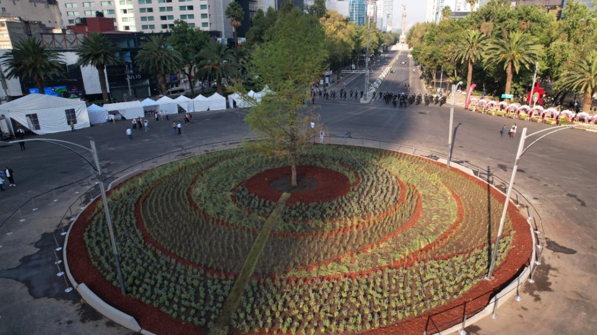 Diputados del PAN piden que cuidado del ahuehuete quede en manos de la UNAM