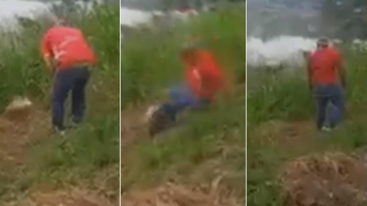 Cocodrilo hembra “ataca” a hombre en Tabasco; reptil protegía su nido (VIDEO)