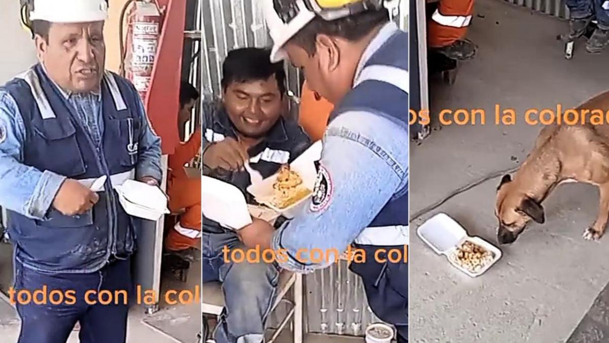 Grupo de trabajadores “dona” parte de su almuerzo para alimentar a lomito (VIDEO)