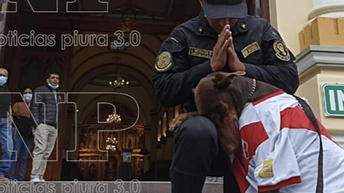 Perrito reza frente a una iglesia, previo al partido de repechaje de Perú vs Australia