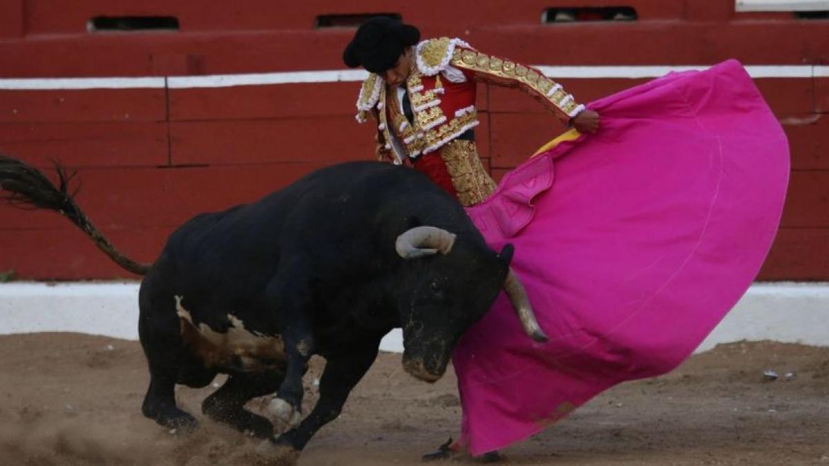 Proponen que continúen corridas de toros en CDMX pero sin muerte de los animales