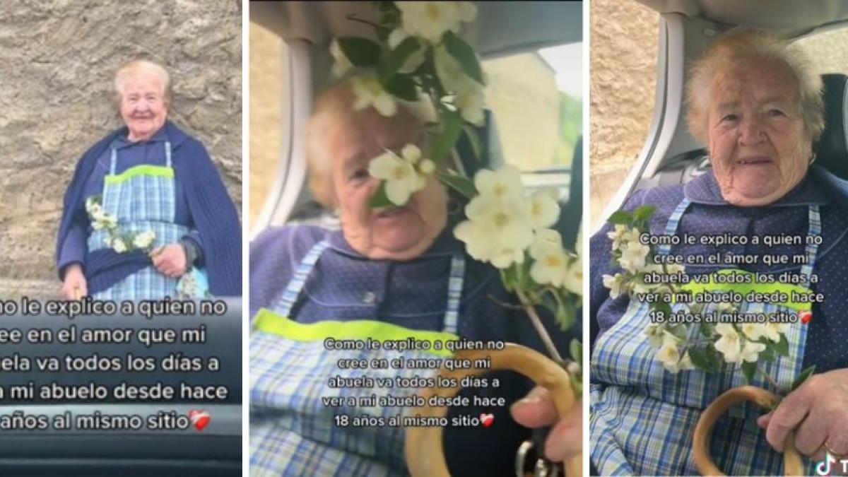 "Ni el cielo los separa": Abuelita lleva flores a su difunto esposo todos los días (VIDEO)