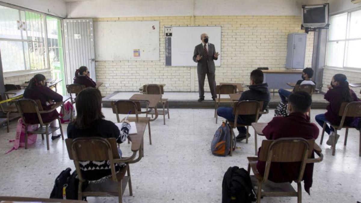 UNPF entrega firmas a la SEP para frenar la desaparición de los grados escolares