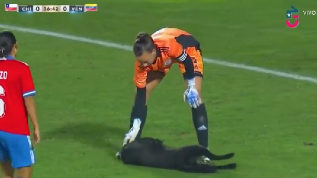 Interrumpen partido de futbol para acariciar a un perrito que se metió al campo