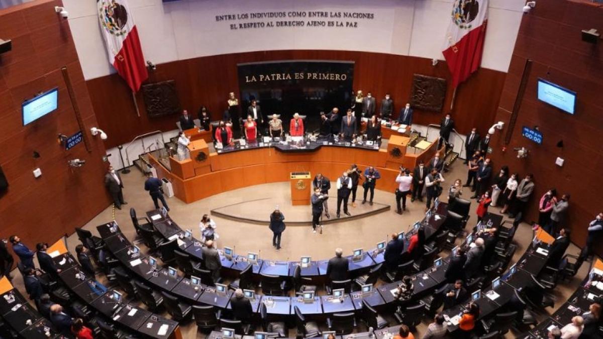 IBD del Senado advierte que polarización en debate sobre seguridad dificulta mejorar estrategia