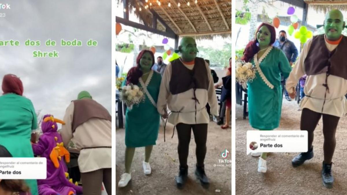 "Y vivieron felices para siempre": Pareja se disfraza de Shrek y Fiona para su boda (VIDEO)