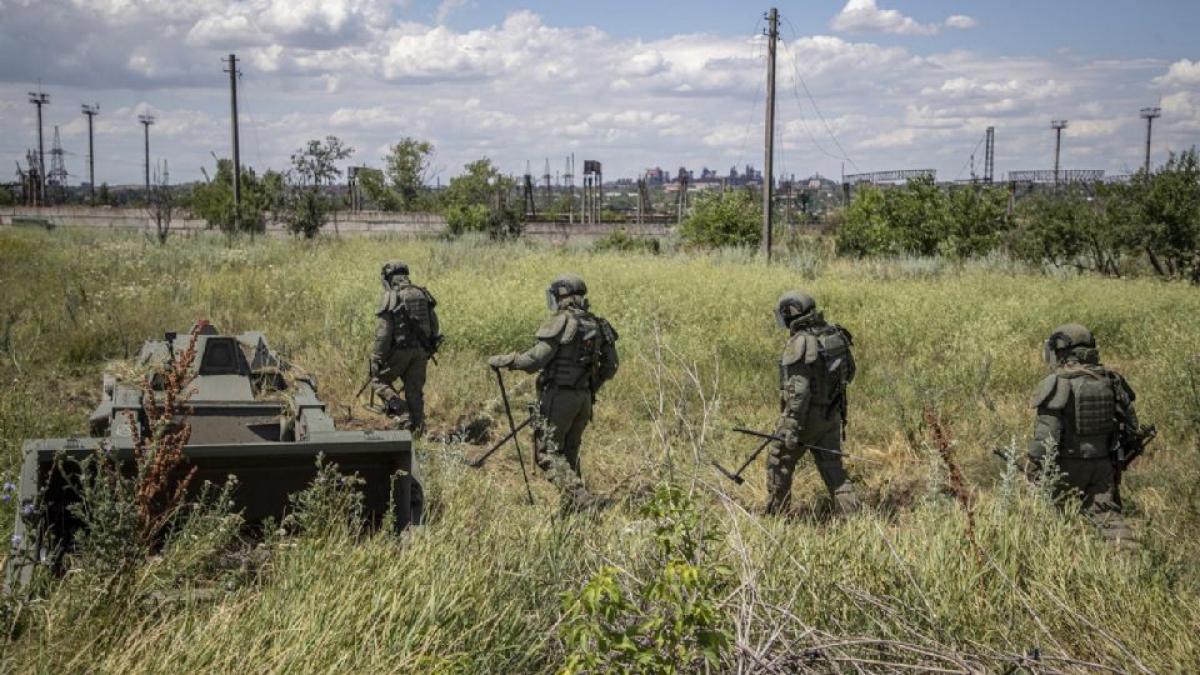 Viajan diputados federales a Ucrania para conocer crisis