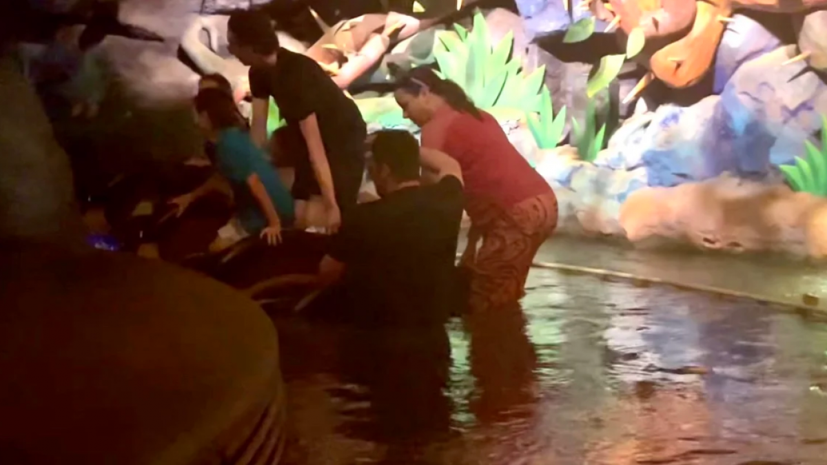 Visitantes de Disney World huyen asustados cuando su bote en la atracción Splash Mountain comienza a hundirse (VIDEO)