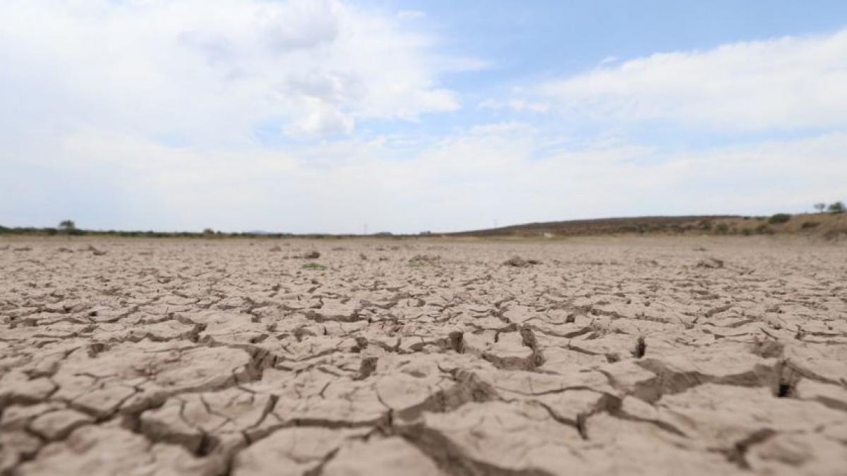 Sufren 7 estados del país sequía extrema