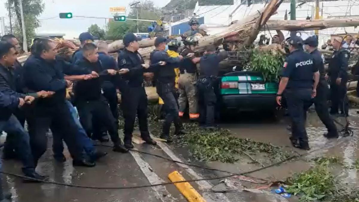 Caída de árbol sobre un auto en Ecatepec deja 3 heridos y un muerto (VIDEO)