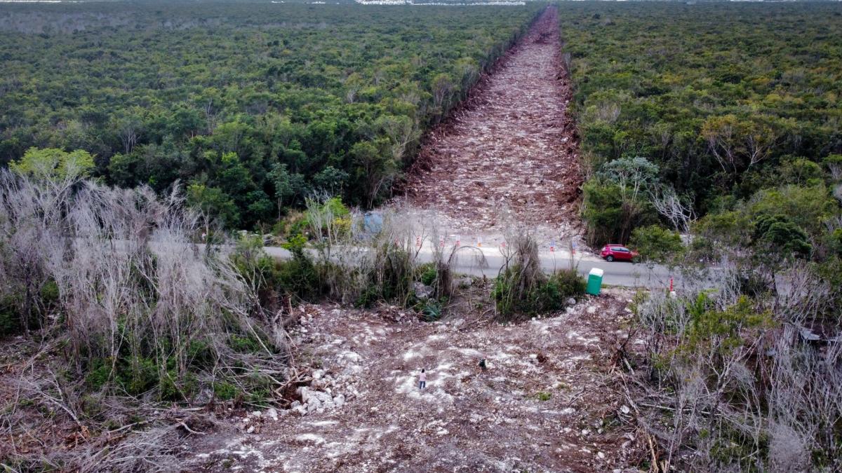 Javier May, titular de Fonatur, celebra fallo que revoca tres suspensiones definitivas de amparo contra Tren Maya