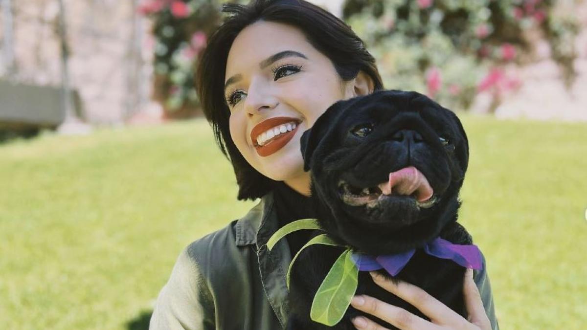 Perrito de Ángela Aguilar se mete al escenario en pleno concierto y se roba el show (VIDEO)