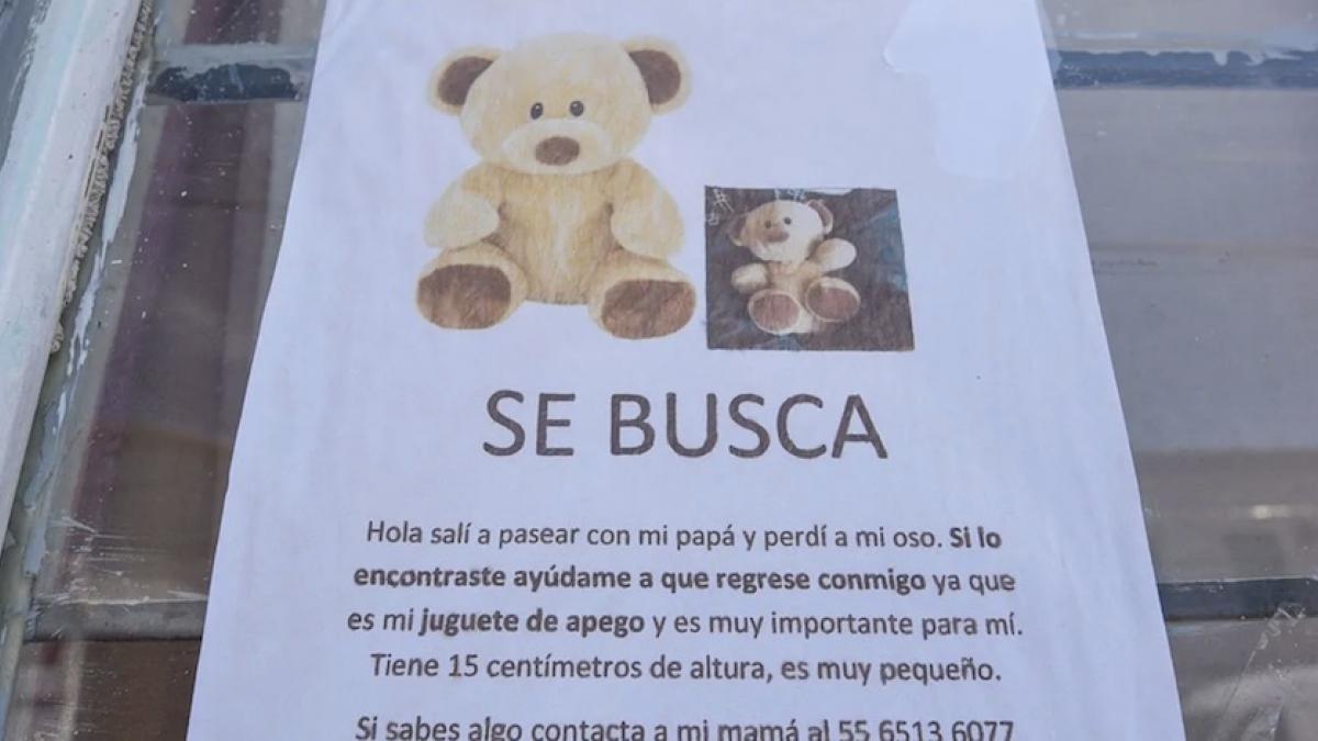 Niño de 2 años busca a “Sr. Osito”, su muñeco de peluche; ofrecen recompensa