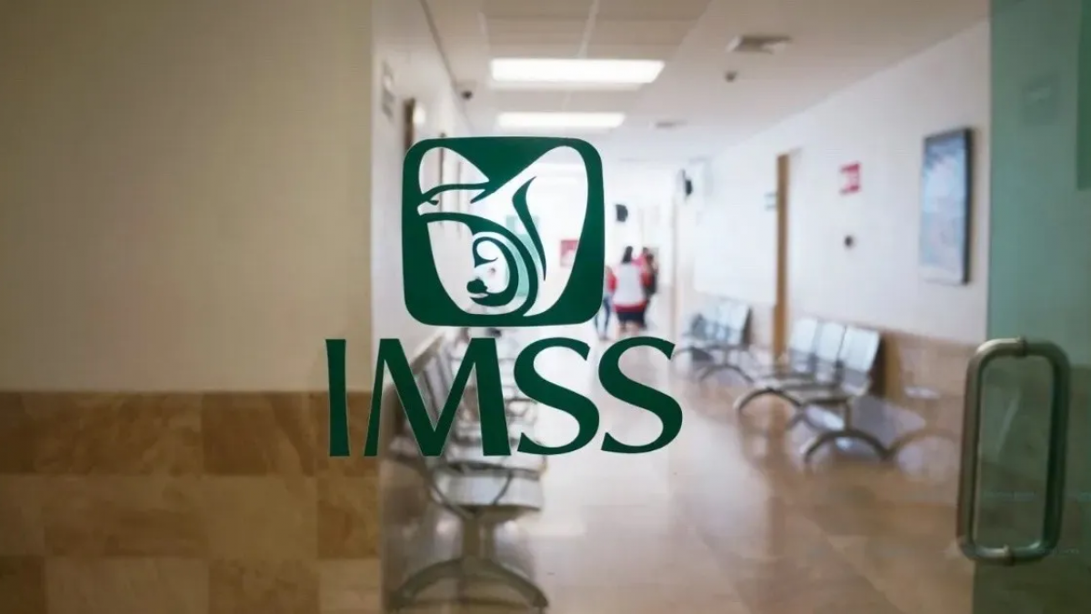 IMSS realiza en primer semestre del año mil 379 trasplantes, 248 por ciento más que en mismo periodo de 2021