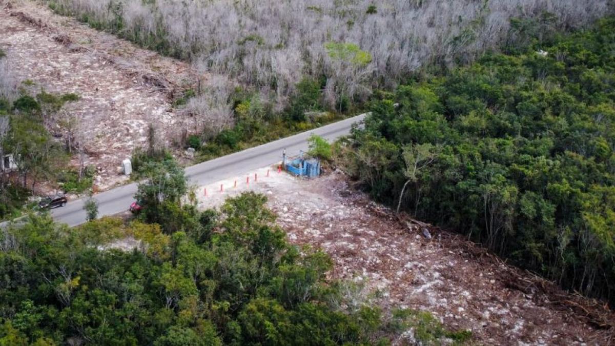 Tren Maya: Juez concede segunda suspensión definitiva contra obras en tramo cinco