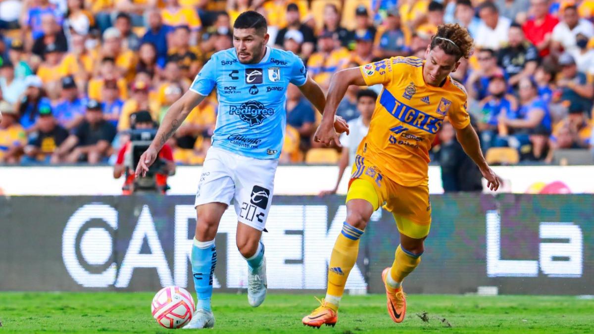 Querétaro vs Tigres: Hora y en qué canal pasan EN VIVO, Jornada 15 Clausura 2023