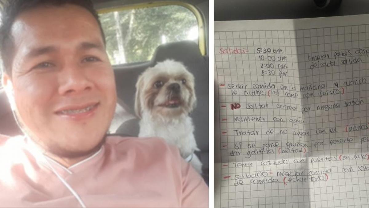 Taxista adopta a perrito que pasajero abandonó; venía con instrucciones (VIDEO)