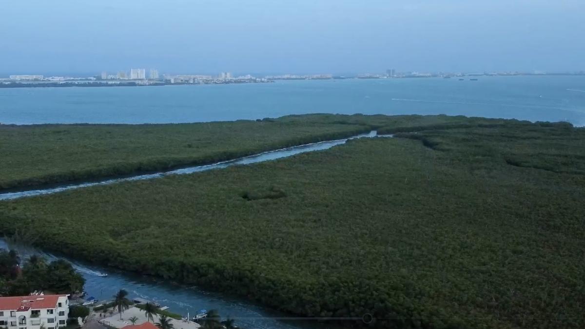 SICT destaca medidas de compensación ambiental por obras en Cancún