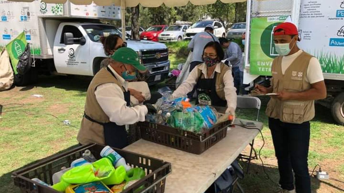 Regreso a clases en CDMX: cambia tus útiles escolares usados por plantas