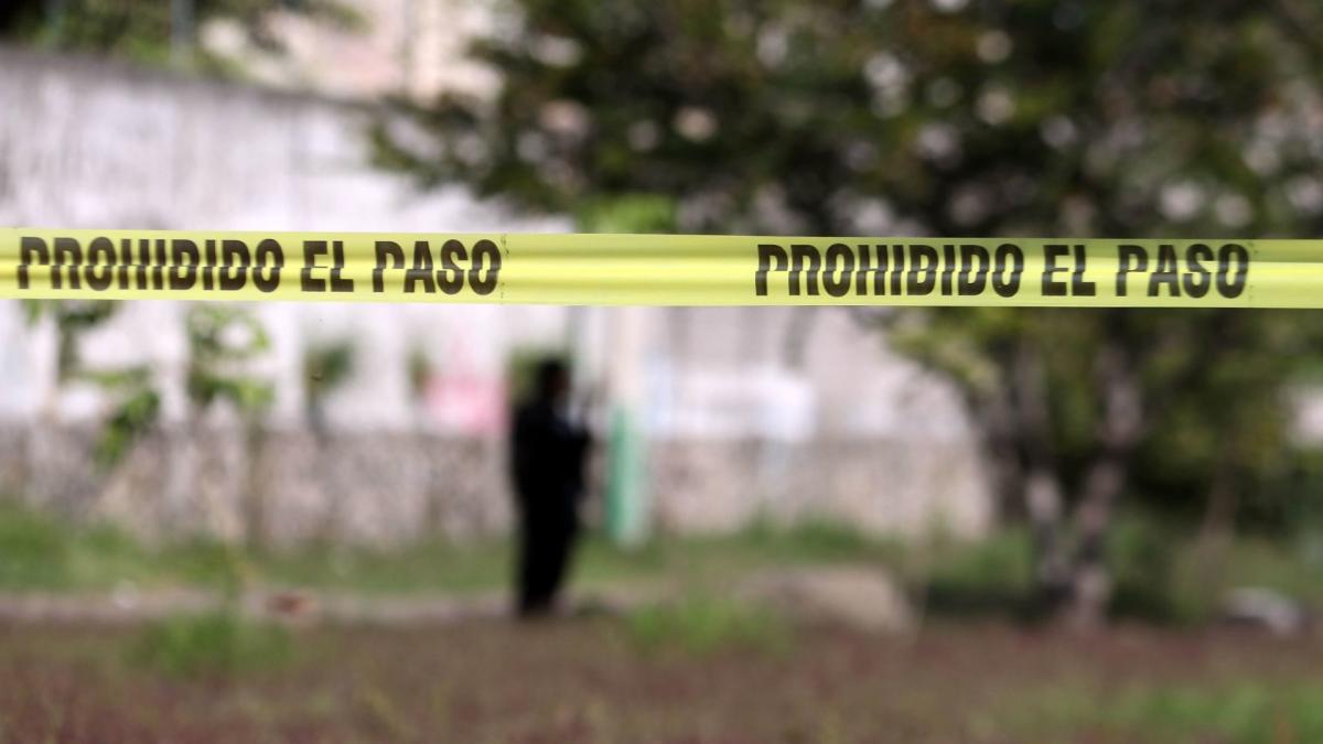 Suman más de 130 mil homicidios en México en actual administración: TResearch