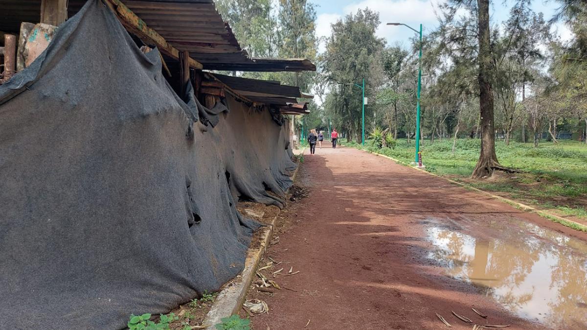 Bosque de Aragón, entre el abandono y la inseguridad