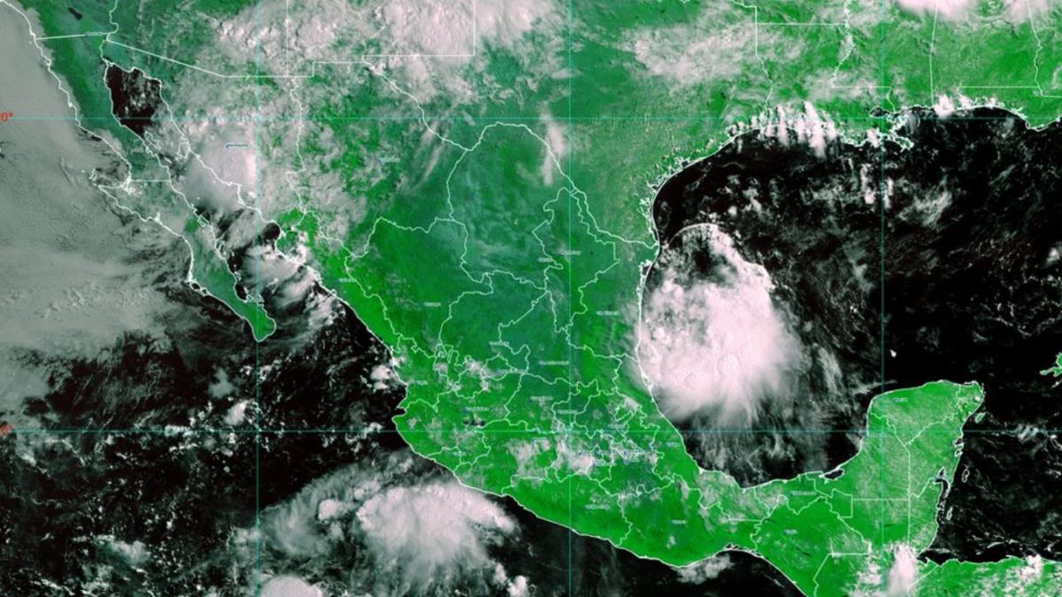 Ciclón Tropical Cuatro avanza hacia Tamaulipas; tocará tierra esta noche: Conagua