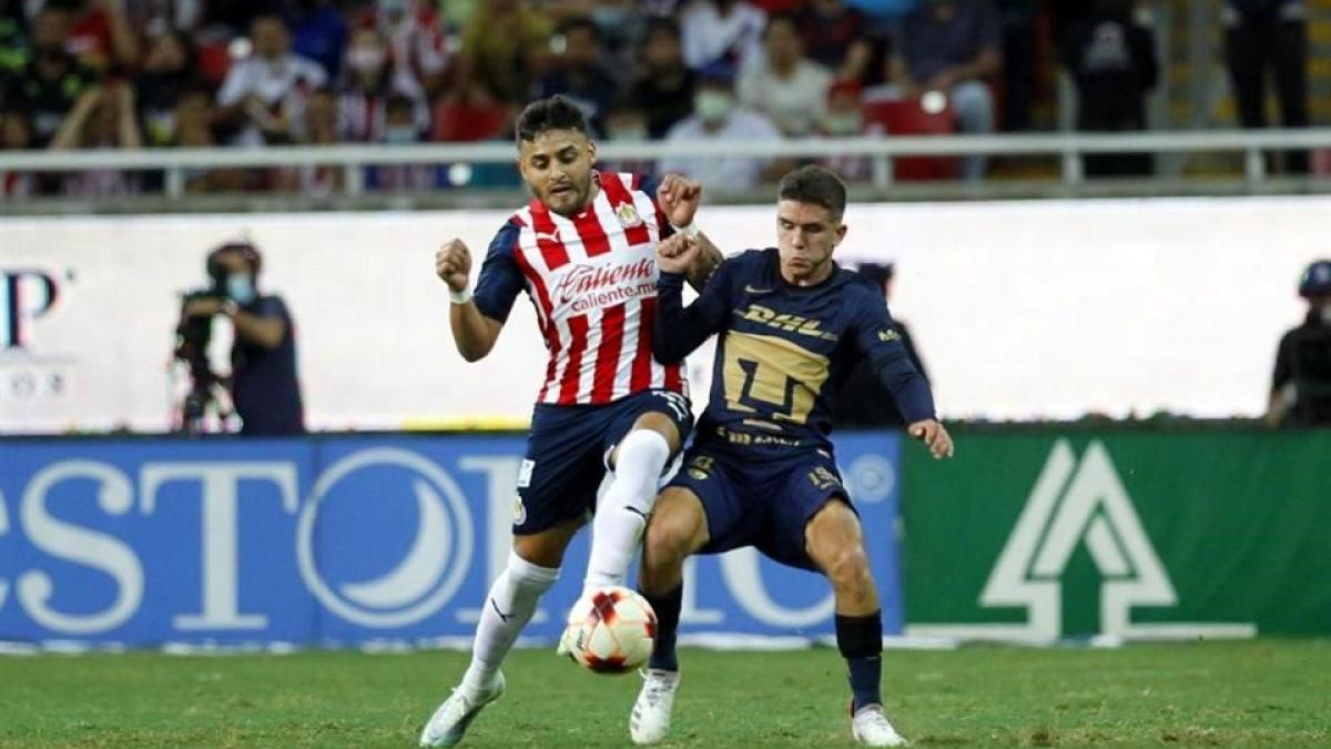 CHIVAS vs PUMAS: Hora y en qué canal ver EN VIVO, Jornada 11 Apertura 2022