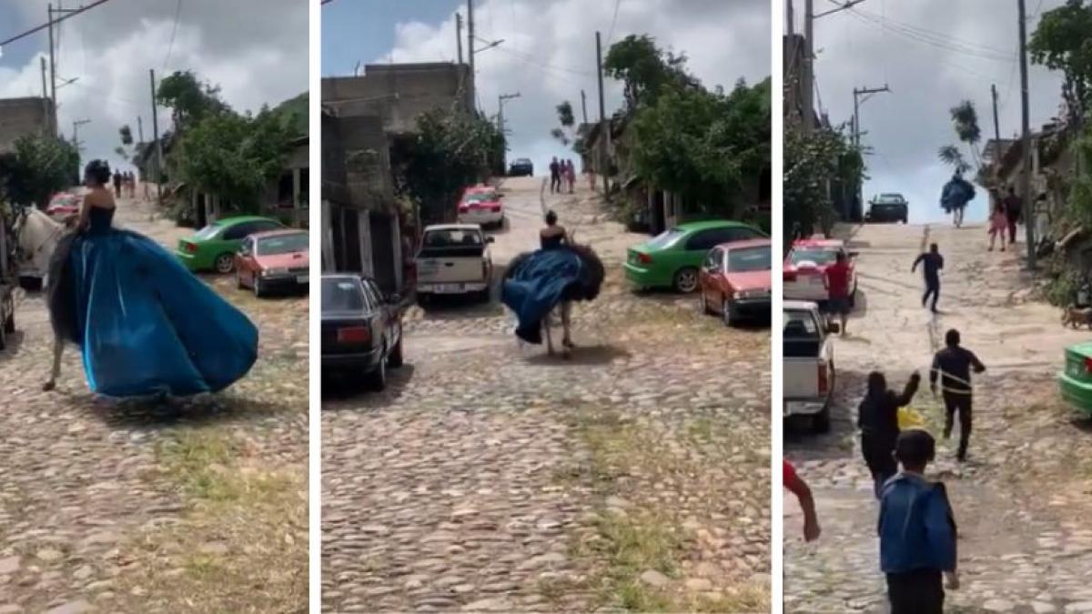 "Y se marchó...": Caballo se da a la fuga con quinceañera en plena fiesta (VIDEO)