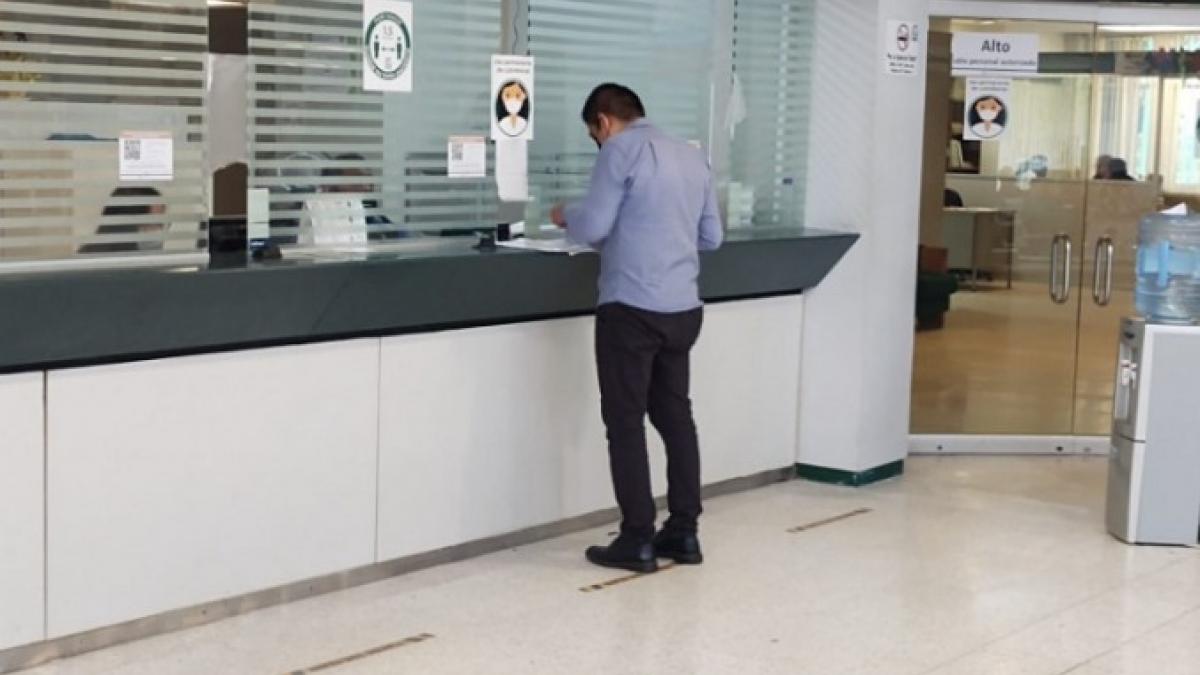 IMSS: ¿cómo tramitar el seguro para trabajadores independientes?