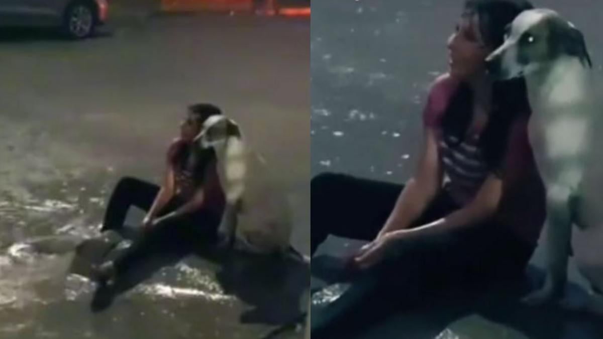 Perrito acompaña a su dueña bajo la lluvia y conmueve en redes: "En las buenas y en las malas" (VIDEO)