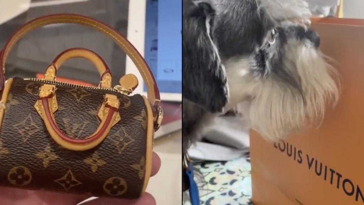 Joven viraliza bolso de Louis Vuitton para guardar heces de perro
