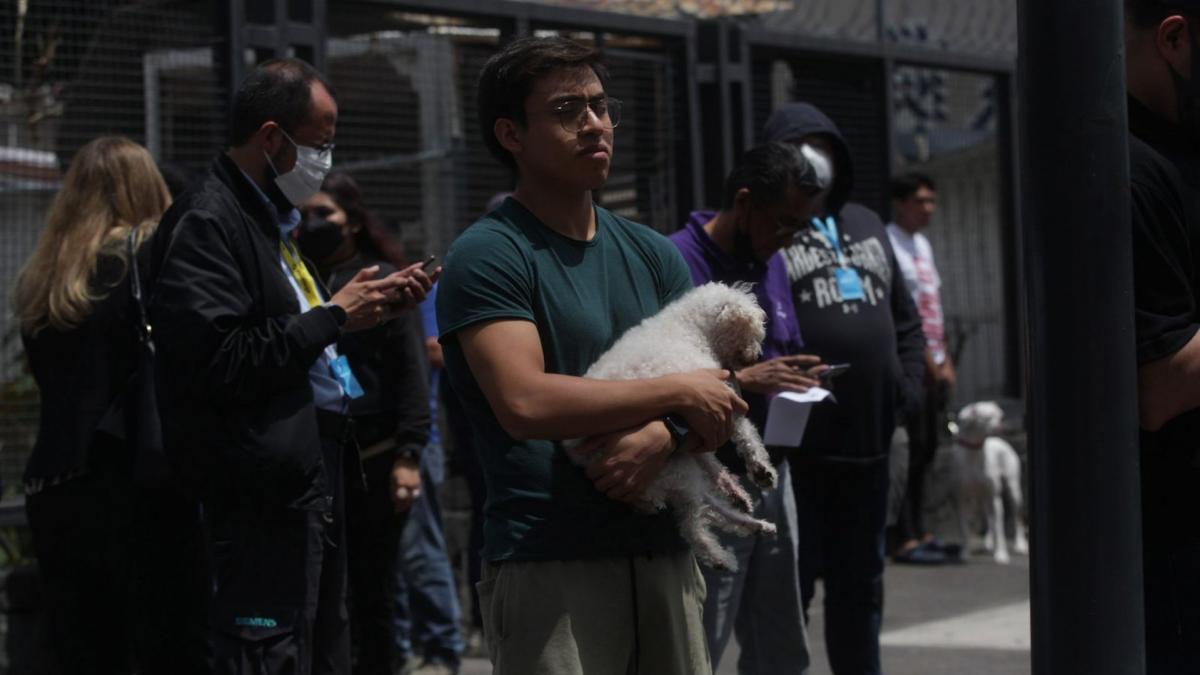 Saldo blanco en CDMX tras sismo de 7.7; reportan 21 inmuebles con daños